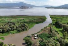 Comunidad de Purenchécuaro protege manantiales y fortalece la conservación del lago de Pátzcuaro