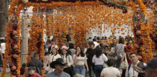Desfiles, ferias y altares, prepárate para vivir la Noche de Muertos en Michoacán